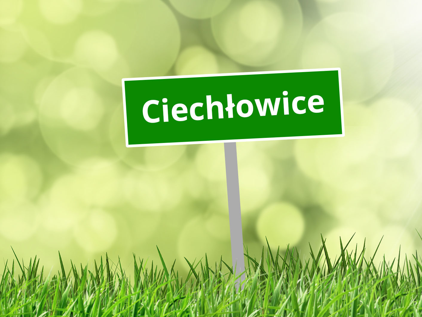 Sołectwo Ciechłowice