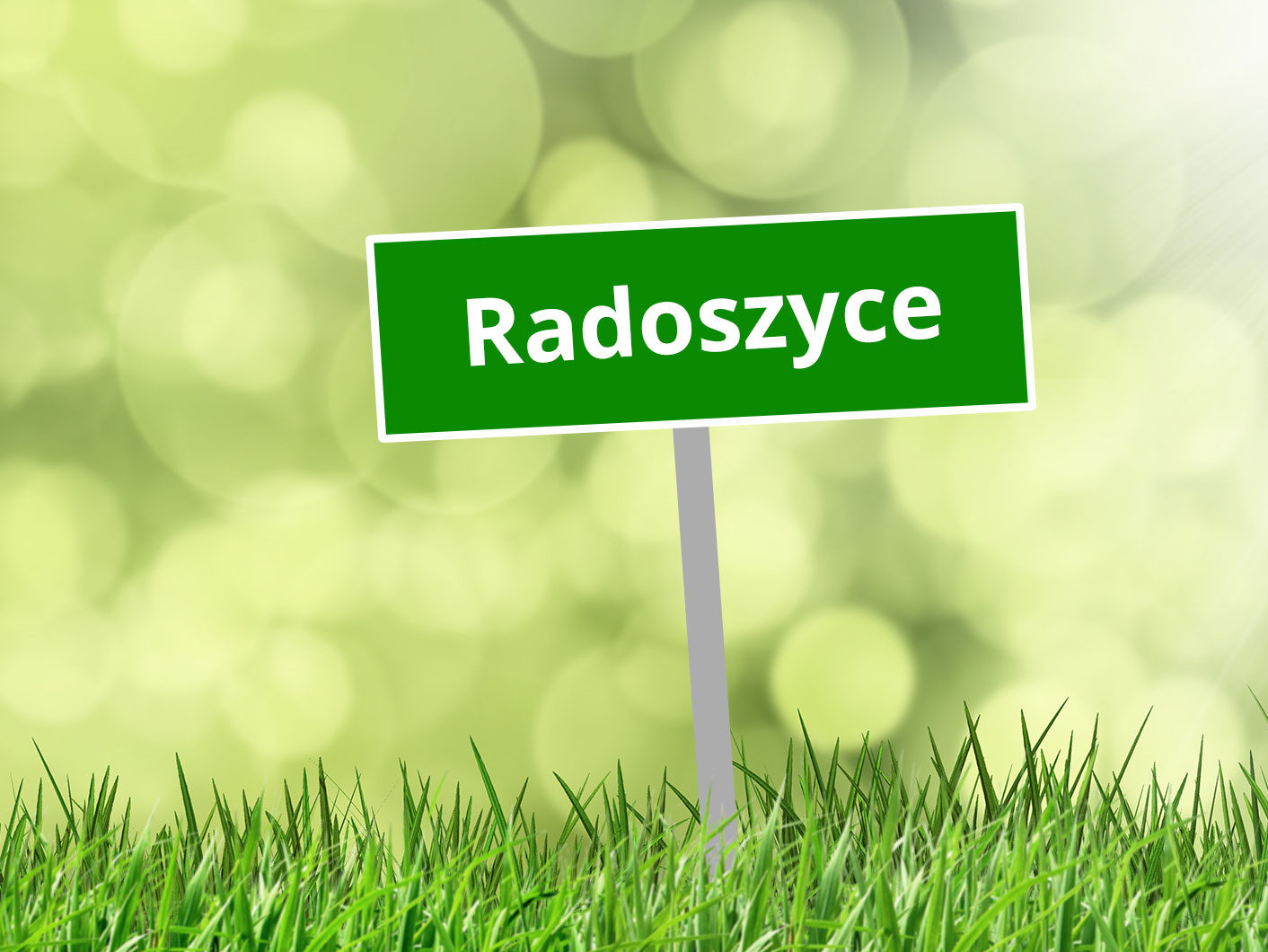 Sołectwo Radoszyce